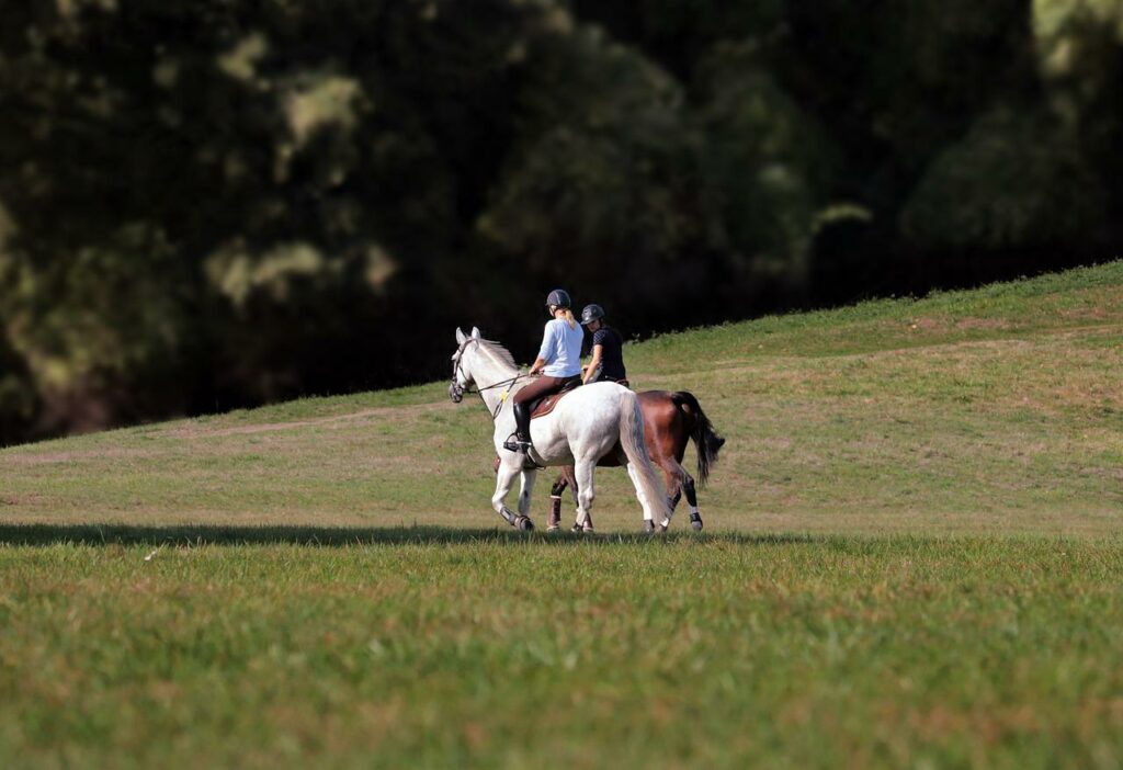 Les bienfaits de l'équitation